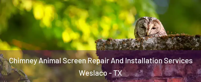  Chimney Animal Screen Repair And Installation Services Weslaco - TX
