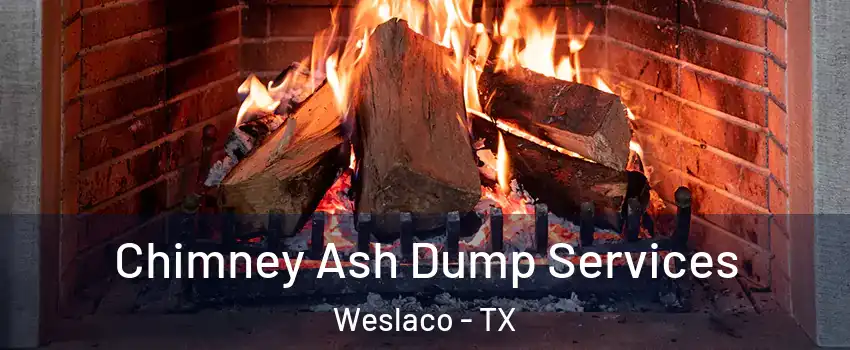  Chimney Ash Dump Services Weslaco - TX