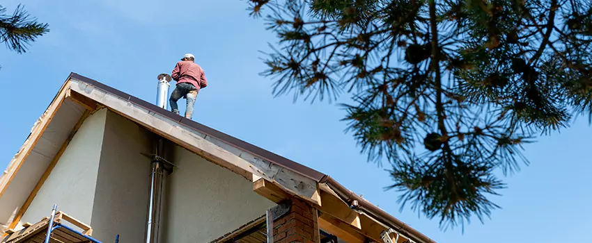 Birds Removal Contractors from Chimney in Weslaco, TX